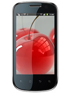 Best available price of Celkon A19 in Micronesia